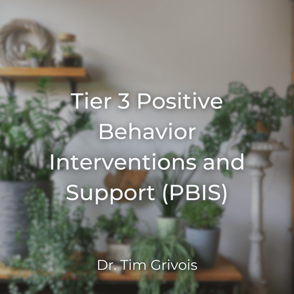 Tier 3 Positive Behavior Interventions and Support PBIS